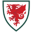 Wales Club Badge