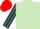 Light Green, Maroon and Dark Green striped sleeves, Red cap