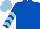 Royal Blue, Light blue chevrons on sleeves, Light blue cap