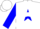 WHITE, Blue Star, White Chevrons on Blue Slvs