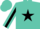 Turquoise, Black Star, Black Star and Stripe on sleeves