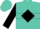 Turquoise, Black Diamond Hoop, Black Diamond Seam on Sleeves