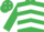 EMERALD GREEN & WHITE CHEVRONS, white diamonds on cap