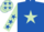 Royal Blue, Light Green star, Light Green sleeves, Royal Blue stars and stars on cap