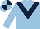 Light Blue, Dark Blue chevron, quartered cap