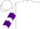 White, Green and Purple Sashes, Purple Chevrons on sleeves
