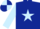 Dark Blue, Light Blue star and sleeves, quartered cap