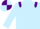 Light Blue, Purple epaulets, quartered cap