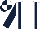WHITE, DARK BLUE braces and sleeves, DARK BLUE and WHITE quartered cap