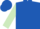 Royal Blue, Light Green Sleeves, Royal Blue Cap