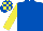 ROYAL BLUE, yellow sleeves, check cap