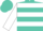 Turquoise, white 'TWB' on back, white hoops on sleeves