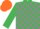 Emerald Green and Grey check, Orange cap