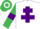 WHITE, PURPLE Cross of Lorraine, EMERALD GREEN sleeves, PURPLE armlets, EMERALD GREEN and WHITE hooped cap