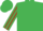 Emerald Green, Brown striped sleeves