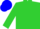 Lime green, blue H on back, matching cap