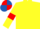 Yellow, Red armlets, Red and Royal Blue quartered cap