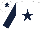 WHITE, DARK BLUE star, sleeves and cap