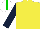 Yellow, Dark Blue sleeves, White cap, Green stripe