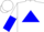 White, Blue Triangle, White and Blue Halved Sleeves, White Cap