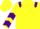 Yellow, Purple epaulets, chevrons on sleeves