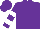Purple, White Bars on Sleeves, Purple Cap