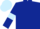 Dark Blue, Light Blue armlets, Light Blue cap