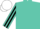 Turquoise, Black striped sleeves, White cap