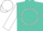 Turquoise, white circle, white bars on sleeves, white cap