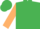 Emerald green, beige sleeves