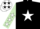 Black, White Star, Light Green Sleeves, White Stars