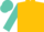 Gold, turquoise sleeves, AA on back, matching cap