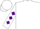 White, Purple 'P', Purple Diamonds on Sleeves