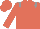 Terracotta, Grey epaulets