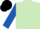 LIGHT GREEN, royal blue sleeves, black cap