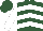 Hunter Green with White Chevrons, White Sleeves