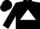 Black, White Triangle, White Band on Sleeves, Black Cap