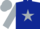Dark blue, silver star, dark blue maple leaf on silver sleeves, silver cap