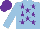 Light Blue, Purple stars, Light Blue sleeves, Purple cap