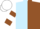 Light Blue and Brown (halved), White and Brown hooped sleeves, White cap