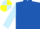 Royal Blue, Light Blue sleeves, Light Blue and Yellow quartered cap
