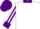 White, Purple collar, cuffs and cap, striped sleeves