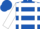 Royal Blue, White Braces, Gold Horseshoe, White Hoops on Sleeves