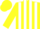 Yellow and White stripes, Yellow sleeves and cap