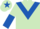Light Green, Royal Blue chevron, halved sleeves and star on cap