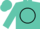 Turquoise, Black 'PM' inside Black Circle
