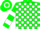Hunter Green, White Blocks, Green Sleeves, White Hoop