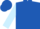 Light and Royal Blue Halves, Light Blue Sleeves