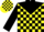 Yellow, Black Yoke and 'GS', Black Blocks on Sleeves