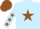 LIGHT BLUE, brown star, brown stars on sleeves, brown cap